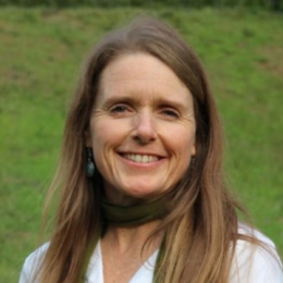 Legal Nurse Consulting